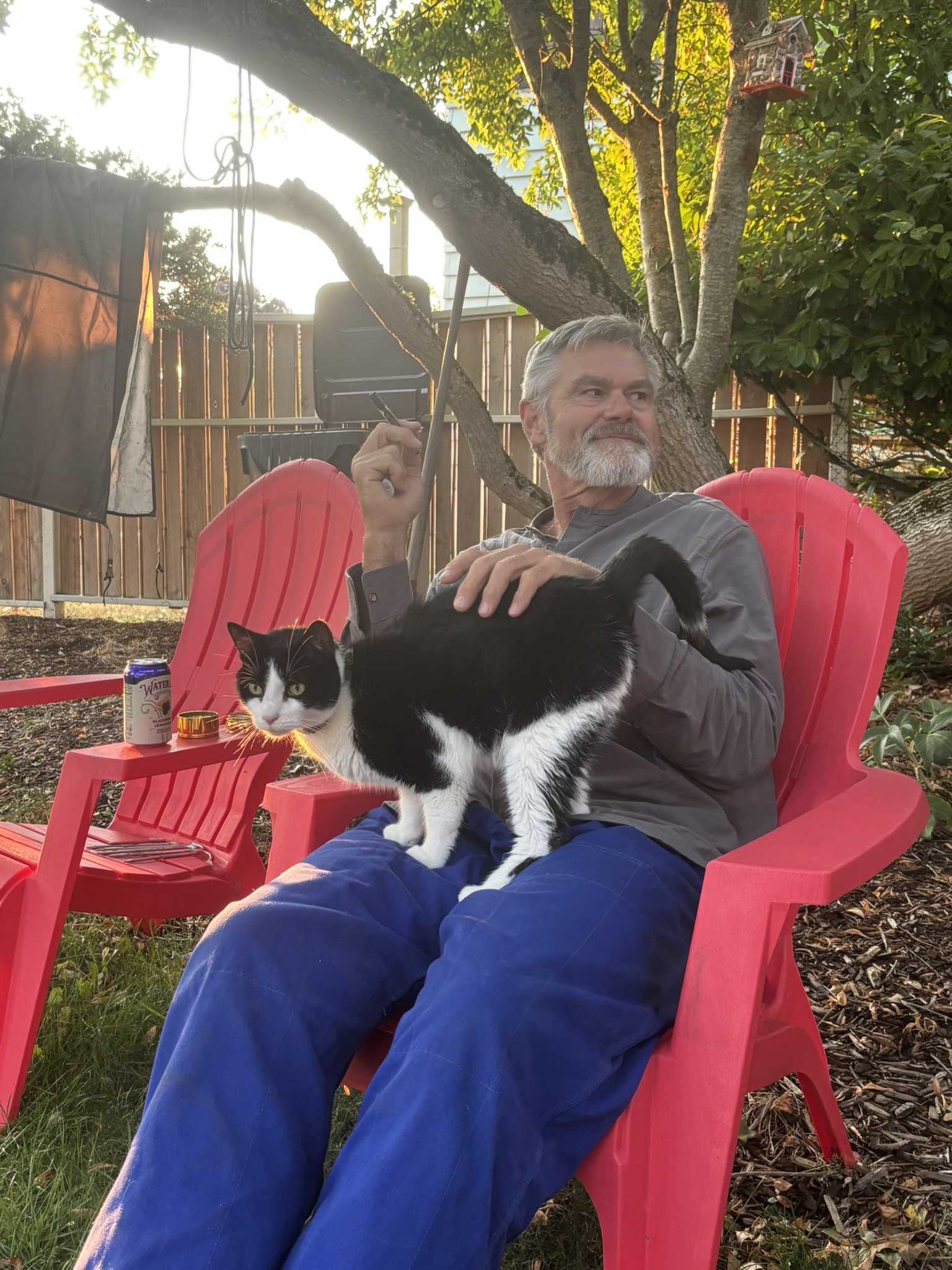 Wally the dryheaving cat